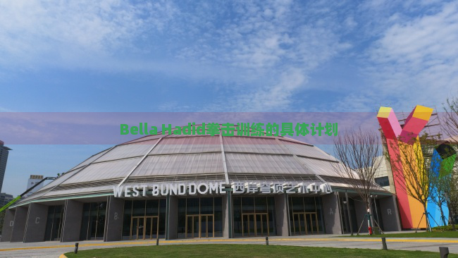 Bella Hadid拳击训练的具体计划