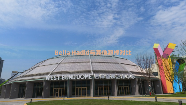 Bella Hadid与其他超模对比