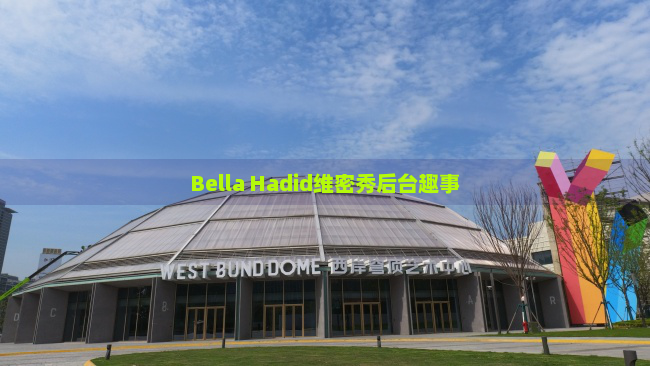 Bella Hadid维密秀后台趣事