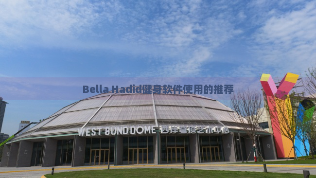 Bella Hadid健身软件使用的推荐