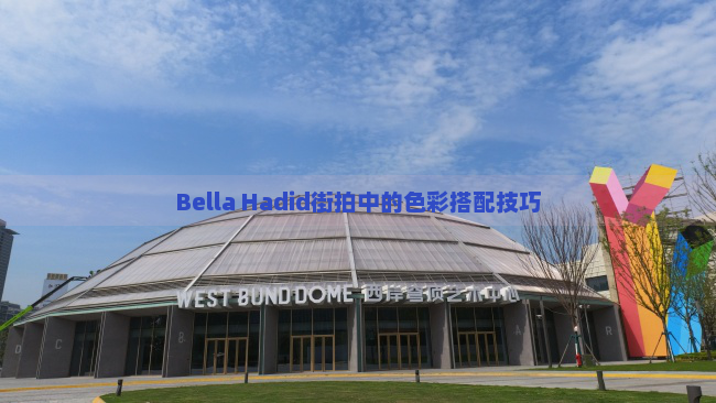 Bella Hadid街拍中的色彩搭配技巧