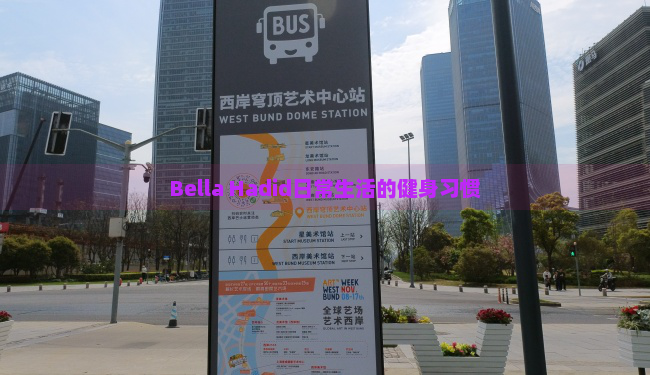 Bella Hadid日常生活的健身习惯