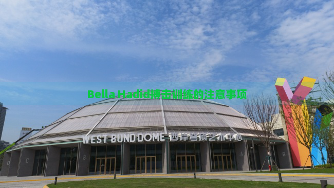 Bella Hadid搏击训练的注意事项