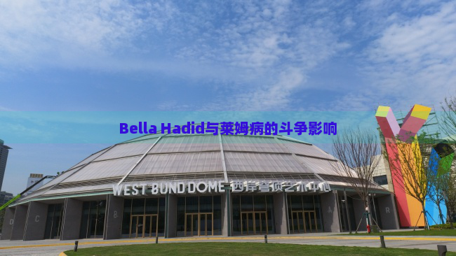 Bella Hadid与莱姆病的斗争影响